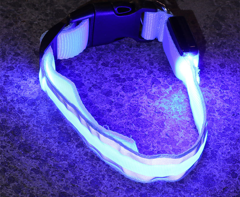 PetBottle Matching Night Safety LED Collar