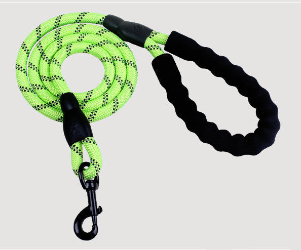 PetBottle Matching Reflective Dog Leash
