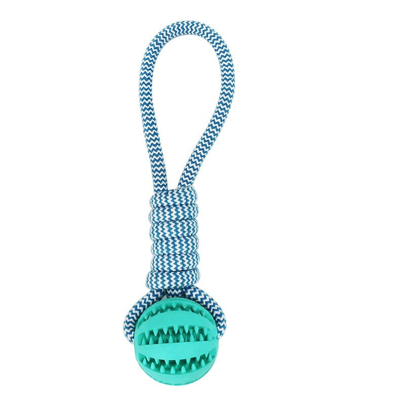 PetBottle Matching Rope & Ball Toy