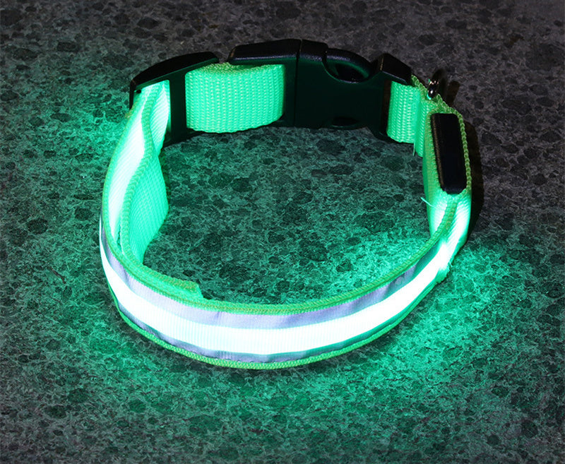 PetBottle Matching Night Safety LED Collar
