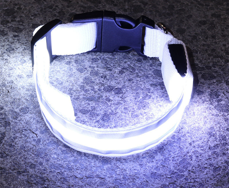 PetBottle Matching Night Safety LED Collar