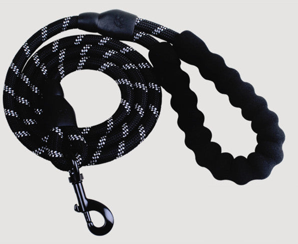 PetBottle Matching Reflective Dog Leash