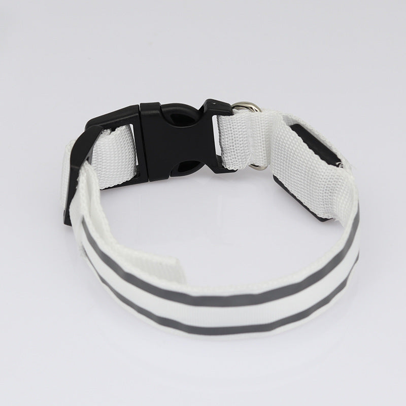 PetBottle Matching Night Safety LED Collar