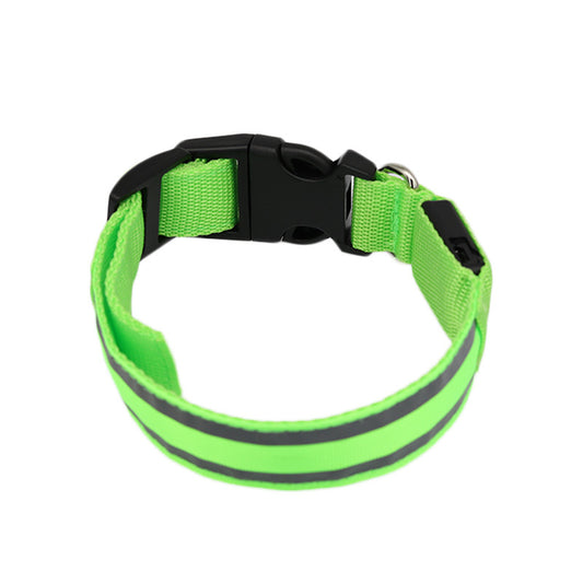 PetBottle Matching Night Safety LED Collar